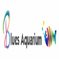 Blues Aquarium